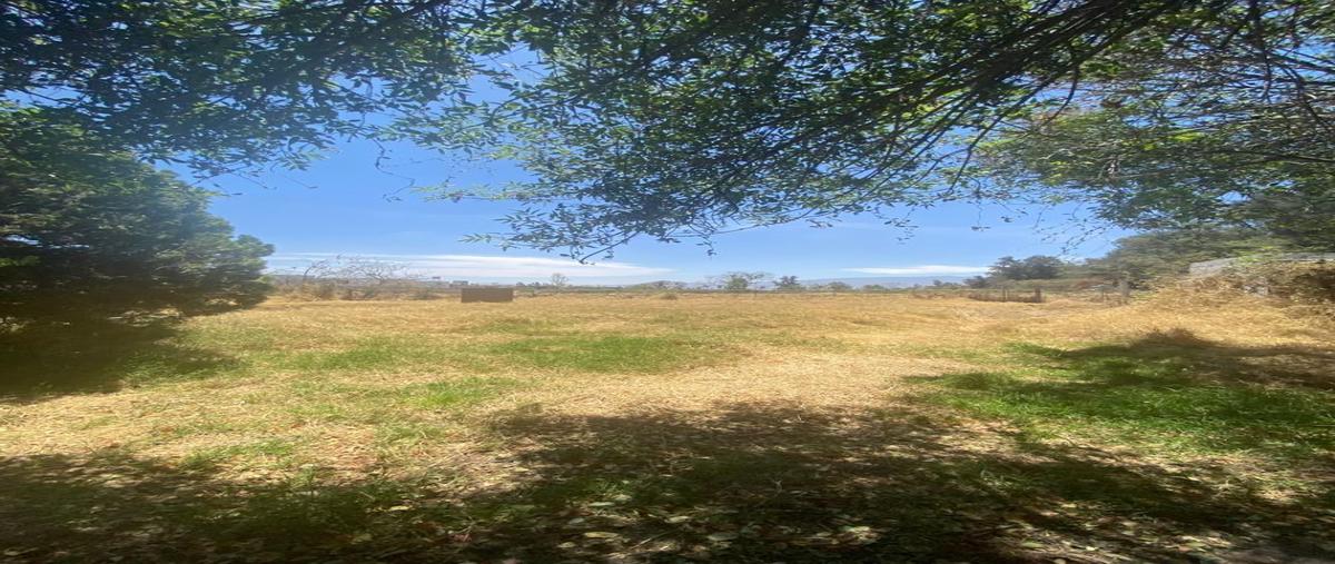 Foto de terreno habitacional en camino a agua amarilla , tlajomulco centro, tlajomulco de zúñiga, jalisco, 0 foto 03 Foto de terreno habitacional en venta en camino a agua amarilla , tlajomulco centro, tlajomulco de zúñiga, jalisco, 0 No. 03