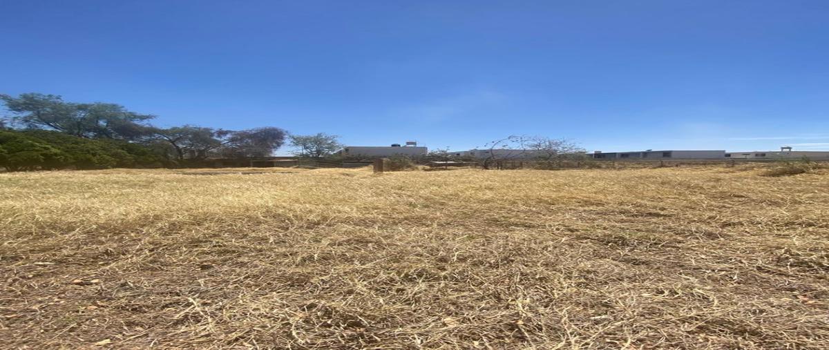 Foto de terreno habitacional en camino a agua amarilla , tlajomulco centro, tlajomulco de zúñiga, jalisco, 0 foto 04 Foto de terreno habitacional en venta en camino a agua amarilla , tlajomulco centro, tlajomulco de zúñiga, jalisco, 0 No. 04