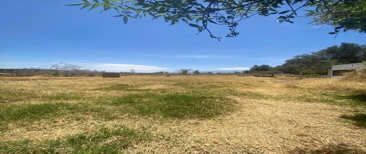 Foto de terreno habitacional en camino a agua amarilla , tlajomulco centro, tlajomulco de zúñiga, jalisco, 0 foto 05 Foto de terreno habitacional en venta en camino a agua amarilla , tlajomulco centro, tlajomulco de zúñiga, jalisco, 0 No. 05