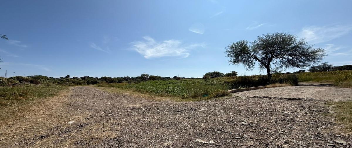 Foto de rancho en venta en camino a agua blanca , ixtlahuacan del rio, ixtlahuacán del río, jalisco, 0 No. 03