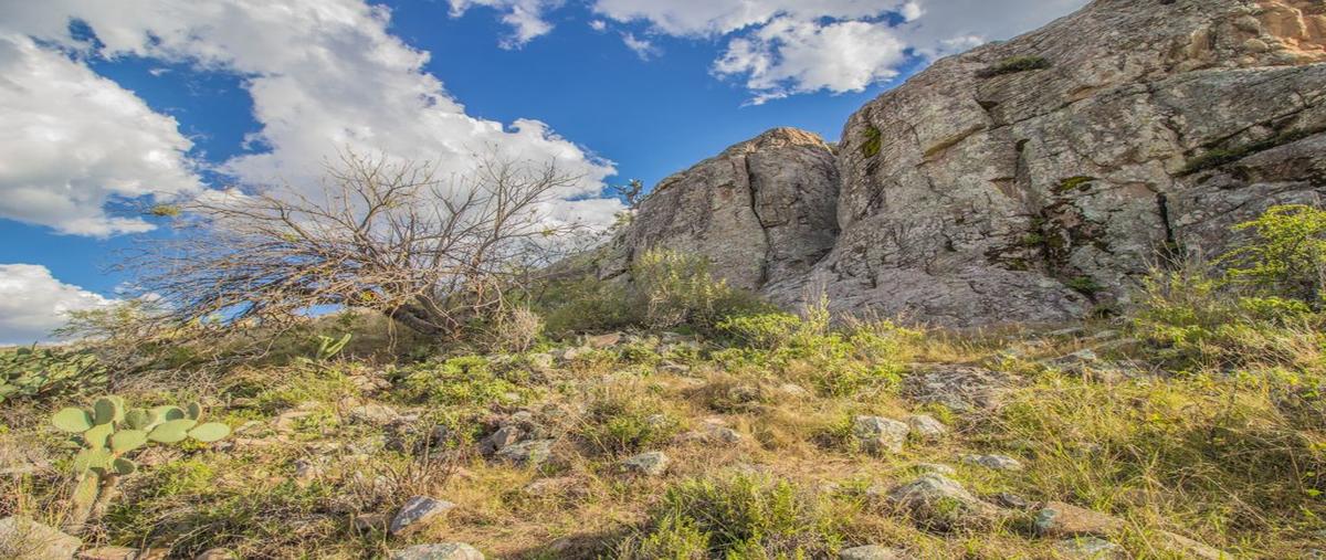 Foto de terreno habitacional en venta en camino a alcocer , la luciérnaga, san miguel de allende, guanajuato, 0 No. 05