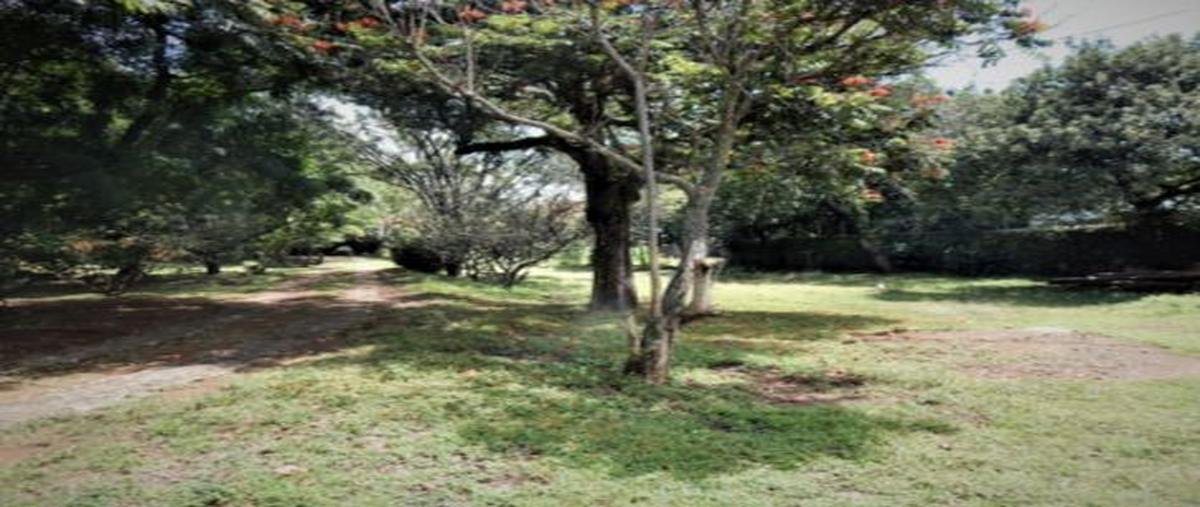 Foto de casa en camino a amatlan , huilotepec, tepoztlán, morelos, 0 foto 03 Foto de casa en venta en camino a amatlan , huilotepec, tepoztlán, morelos, 0 No. 03