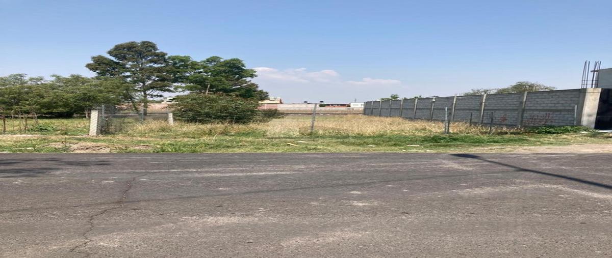 Foto de terreno comercial en renta en camino a atenguillo 2, san juan, chiautla, méxico, 26449855 No. 03