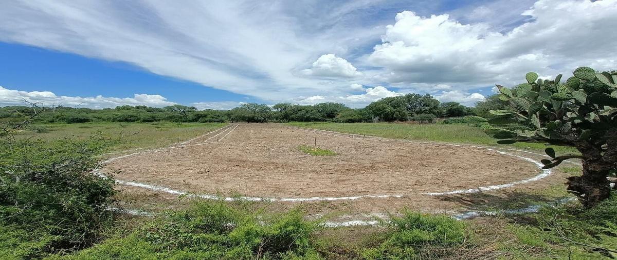 Foto de terreno habitacional en camino a atotonilco ejido banda oaxaca , rancho nuevo (rancho nuevo de banda), san miguel de allende, guanajuato, 0 foto 04 Foto de terreno habitacional en venta en camino a atotonilco ejido banda oaxaca , rancho nuevo (rancho nuevo de banda), san miguel de allende, guanajuato, 0 No. 04