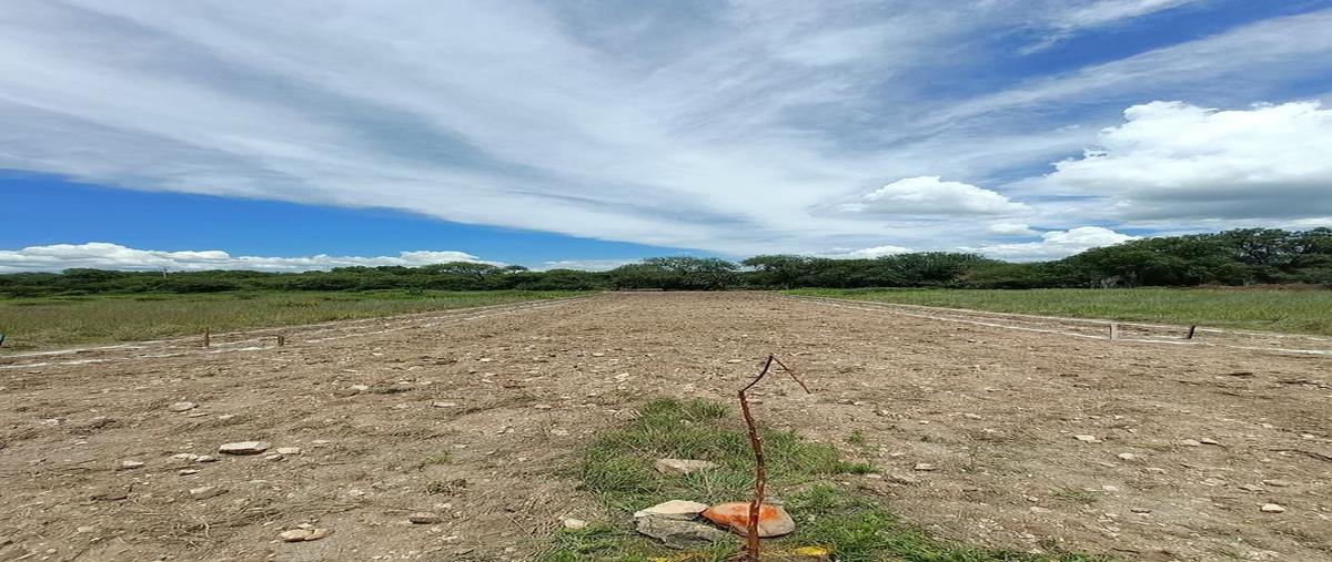 Foto de terreno habitacional en camino a atotonilco ejido banda oaxaca , rancho nuevo (rancho nuevo de banda), san miguel de allende, guanajuato, 0 foto 05 Foto de terreno habitacional en venta en camino a atotonilco ejido banda oaxaca , rancho nuevo (rancho nuevo de banda), san miguel de allende, guanajuato, 0 No. 05