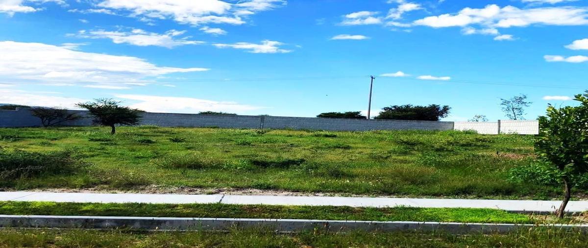 Foto de terreno habitacional en venta en camino a atotonilco , santuario de atotonilco, san miguel de allende, guanajuato, 0 No. 04