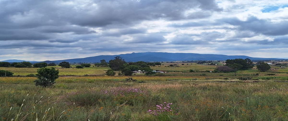 Foto de terreno habitacional en venta en camino a bañe , higuerillas, aculco, méxico, 29007137 No. 03