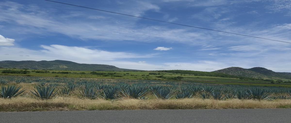 Foto de terreno habitacional en venta en camino a barron , barrón, salamanca, guanajuato, 0 No. 03