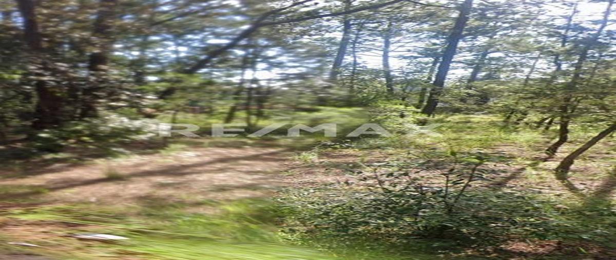 Foto de terreno comercial en venta en camino a bermúdez / quinta maría de los ángeles , san josé ocotillos, huasca de ocampo, hidalgo, 0 No. 03