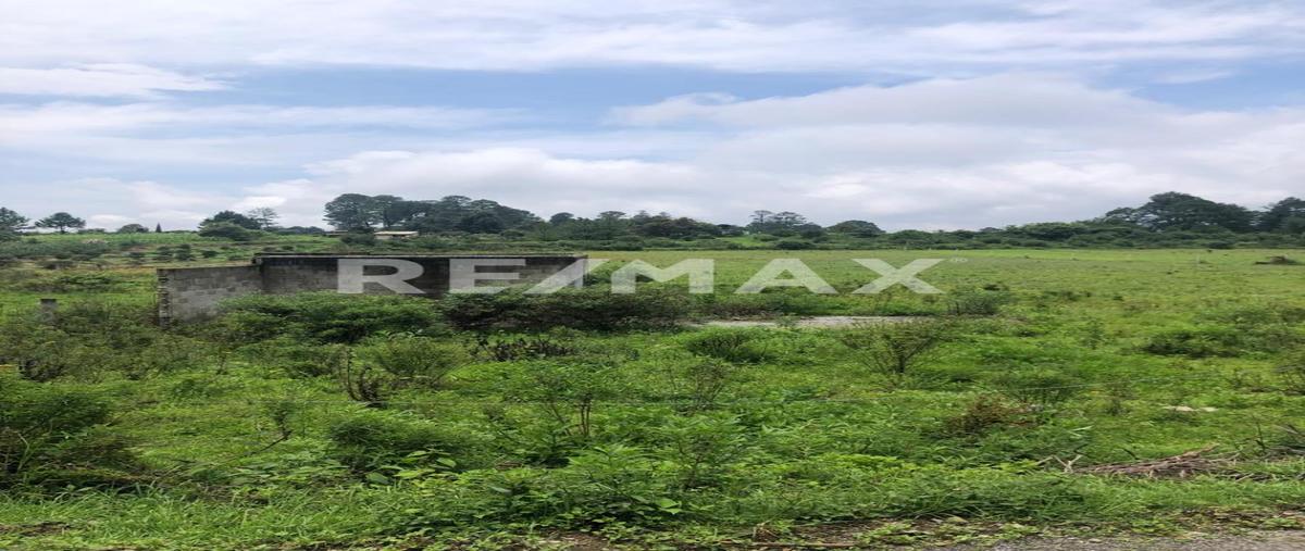 Foto de terreno habitacional en venta en camino a boscoso , polvillos (san bartolo quinta sección), amanalco, méxico, 0 No. 03