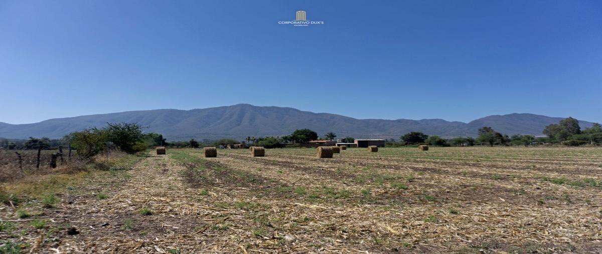 Foto de terreno habitacional en venta en camino a buenavista 123los cedrosixtlahuacán de los membrillosjalisco , los cedros, ixtlahuacán de los membrillos, jalisco, 27790736 No. 04