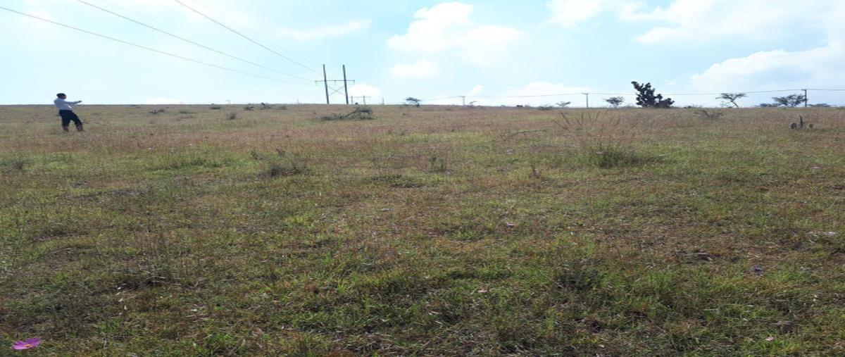 Foto de terreno industrial en venta en camino a cantera de villagrán , cantera de villagrán, tepeji del río de ocampo, hidalgo, 30213465 No. 06