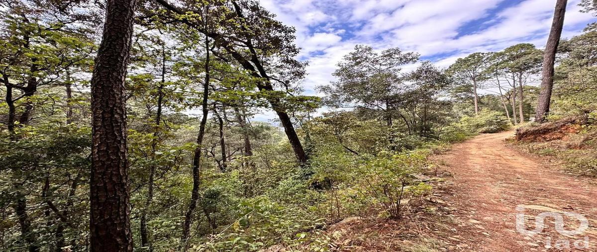 Foto de terreno habitacional en venta en camino a cerro gordo , avándaro, valle de bravo, méxico, 30334244 No. 04