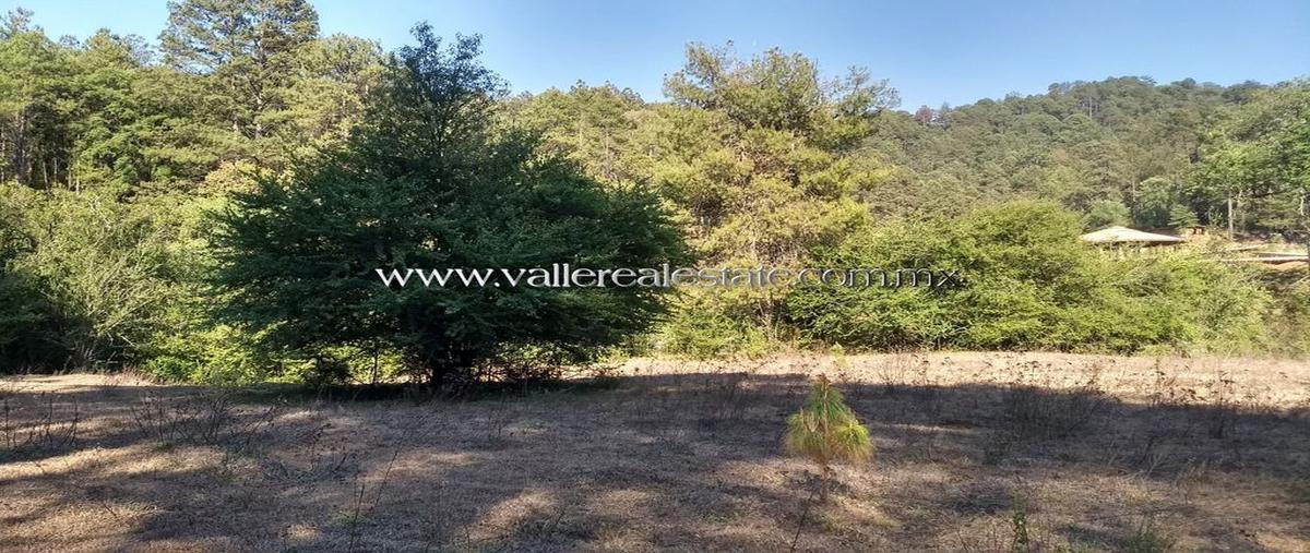 Foto de terreno habitacional en venta en camino a cerro gordo , cerro gordo, valle de bravo, méxico, 25711029 No. 03