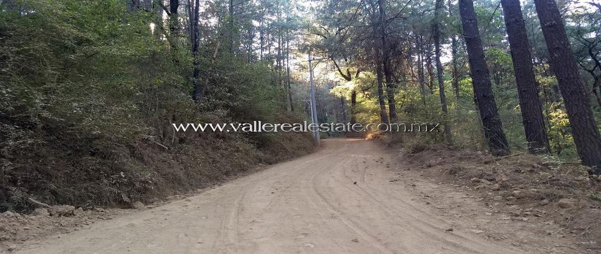 Foto de terreno habitacional en venta en camino a cerro gordo , cerro gordo, valle de bravo, méxico, 25711029 No. 04