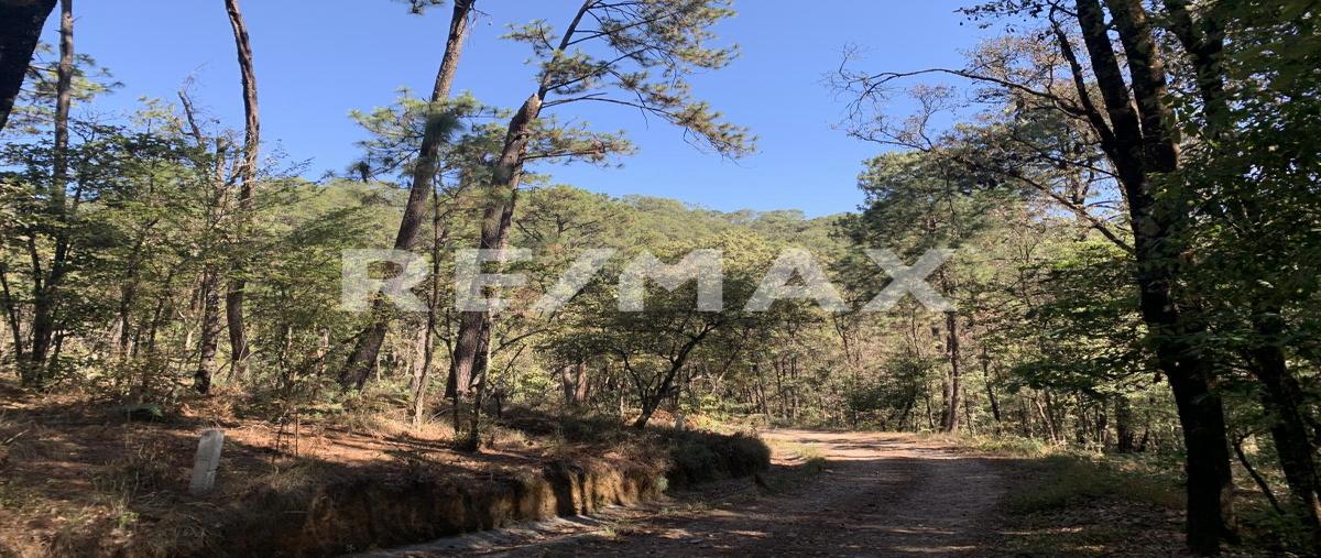 Foto de terreno habitacional en venta en camino a cerro gordo , cerro gordo, valle de bravo, méxico, 0 No. 05