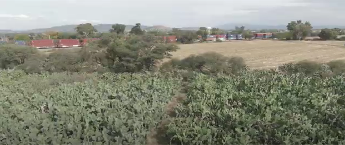 Foto de rancho en camino a chintepec kilometro , san clemente, pedro escobedo, querétaro, 26440152 foto 01 Foto de rancho en venta en camino a chintepec kilometro , san clemente, pedro escobedo, querétaro, 26440152 No. 01