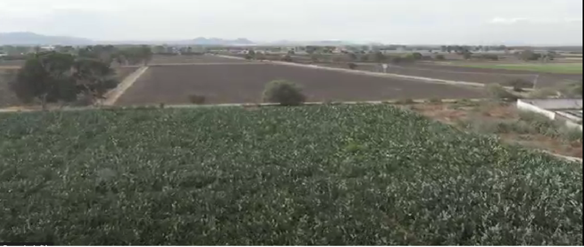 Foto de rancho en camino a chintepec kilometro , san clemente, pedro escobedo, querétaro, 26440152 foto 02 Foto de rancho en venta en camino a chintepec kilometro , san clemente, pedro escobedo, querétaro, 26440152 No. 02