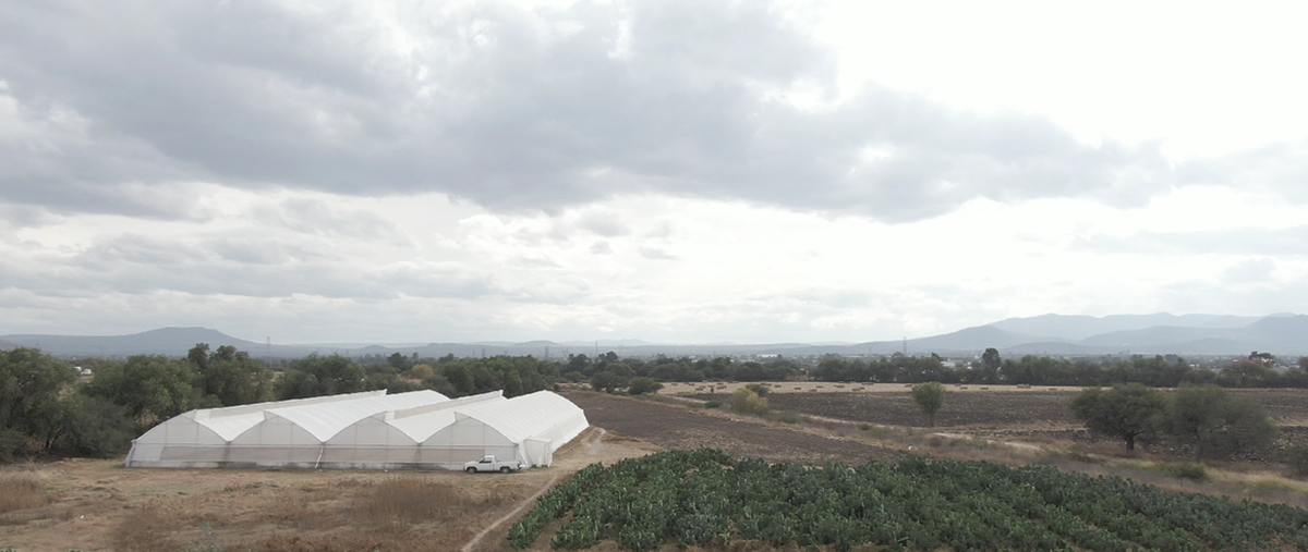 Foto de rancho en camino a chintepec kilometro , san clemente, pedro escobedo, querétaro, 26440152 foto 04 Foto de rancho en venta en camino a chintepec kilometro , san clemente, pedro escobedo, querétaro, 26440152 No. 04