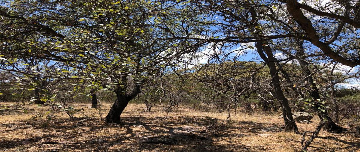 Foto de terreno comercial en venta en camino a cienega de quijas , el salitre, aguascalientes, aguascalientes, 13687549 No. 03