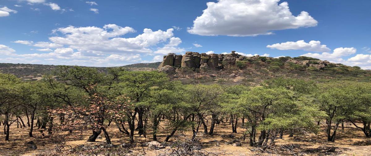 Foto de terreno comercial en venta en camino a cienega de quijas , el salitre, aguascalientes, aguascalientes, 13687549 No. 04