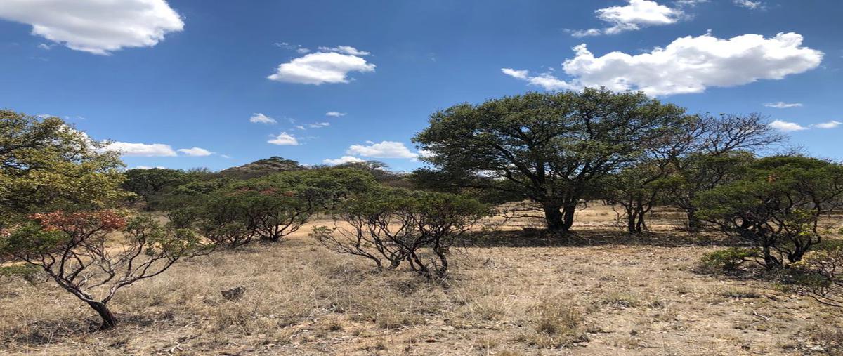 Foto de terreno comercial en venta en camino a cienega de quijas , el salitre, aguascalientes, aguascalientes, 13687549 No. 05