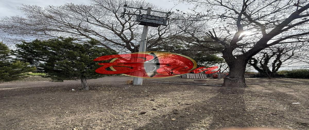 Foto de rancho en venta en camino a ciudad de los niños , villas de guadiana vii, durango, durango, 29279658 No. 05