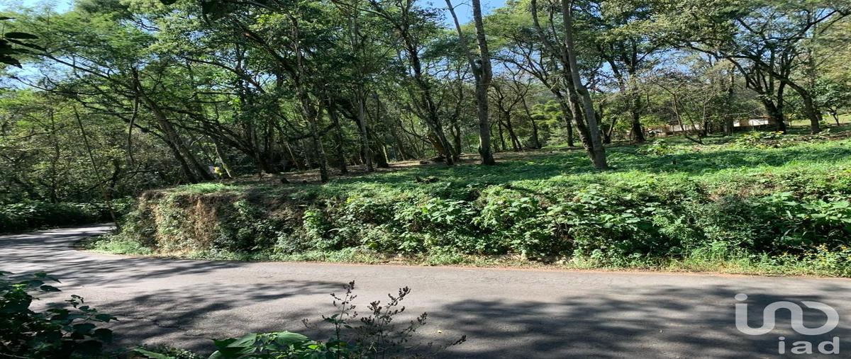 Foto de terreno habitacional en camino a coapexpan 71, úrsulo galván (dos trancas), tlalnelhuayocan, veracruz de ignacio de la llave, 31355744 foto 04 Foto de terreno habitacional en venta en camino a coapexpan 71, úrsulo galván (dos trancas), tlalnelhuayocan, veracruz de ignacio de la llave, 31355744 No. 04