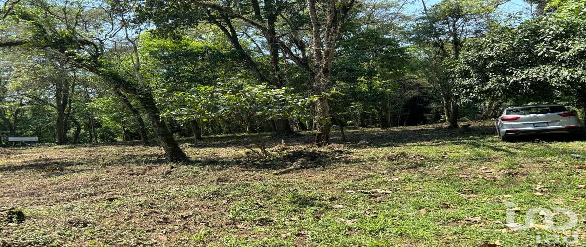 Foto de terreno habitacional en camino a coapexpan 71, úrsulo galván (dos trancas), tlalnelhuayocan, veracruz de ignacio de la llave, 31355744 foto 05 Foto de terreno habitacional en venta en camino a coapexpan 71, úrsulo galván (dos trancas), tlalnelhuayocan, veracruz de ignacio de la llave, 31355744 No. 05