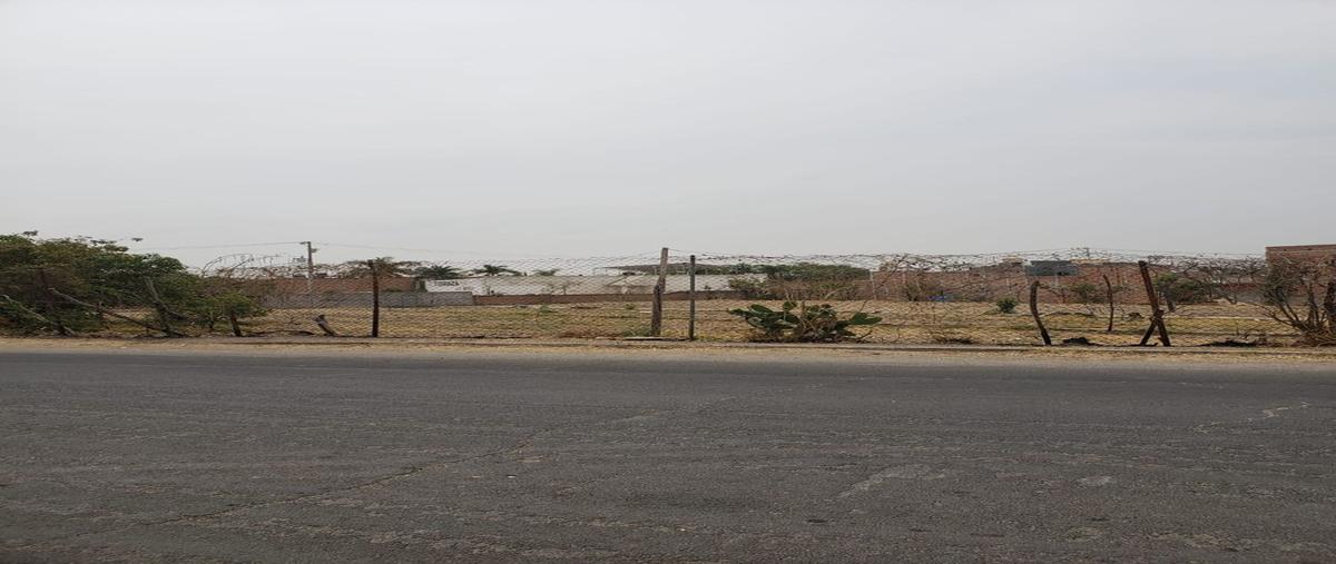 Foto de terreno habitacional en renta en camino a colimilla , la noria, tonalá, jalisco, 27409310 No. 03