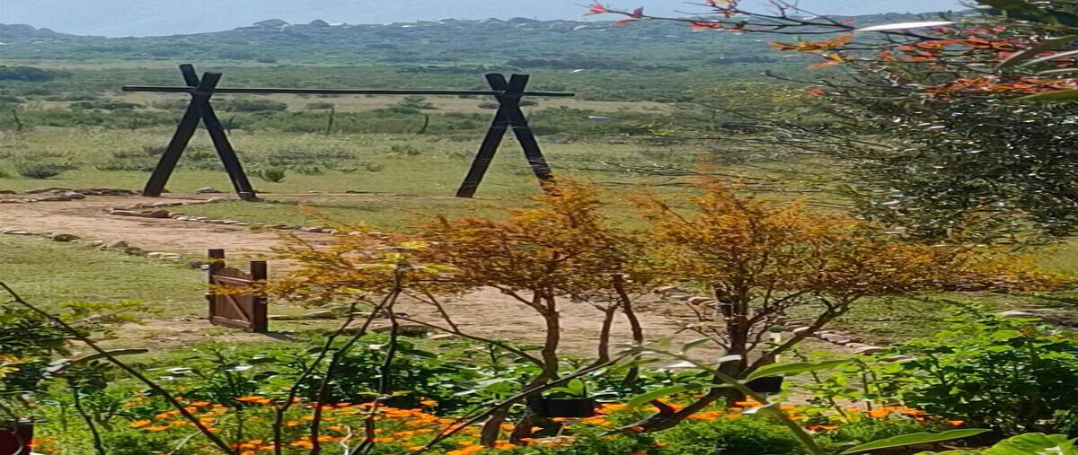 Foto de terreno habitacional en camino a corazón de tierra , francisco zarco (valle de guadalupe), ensenada, baja california, 29020752 foto 01 Foto de terreno habitacional en venta en camino a corazón de tierra , francisco zarco (valle de guadalupe), ensenada, baja california, 29020752 No. 01