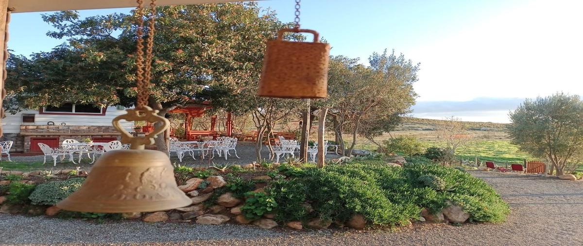 Foto de terreno habitacional en camino a corazón de tierra , francisco zarco (valle de guadalupe), ensenada, baja california, 29020752 foto 04 Foto de terreno habitacional en venta en camino a corazón de tierra , francisco zarco (valle de guadalupe), ensenada, baja california, 29020752 No. 04