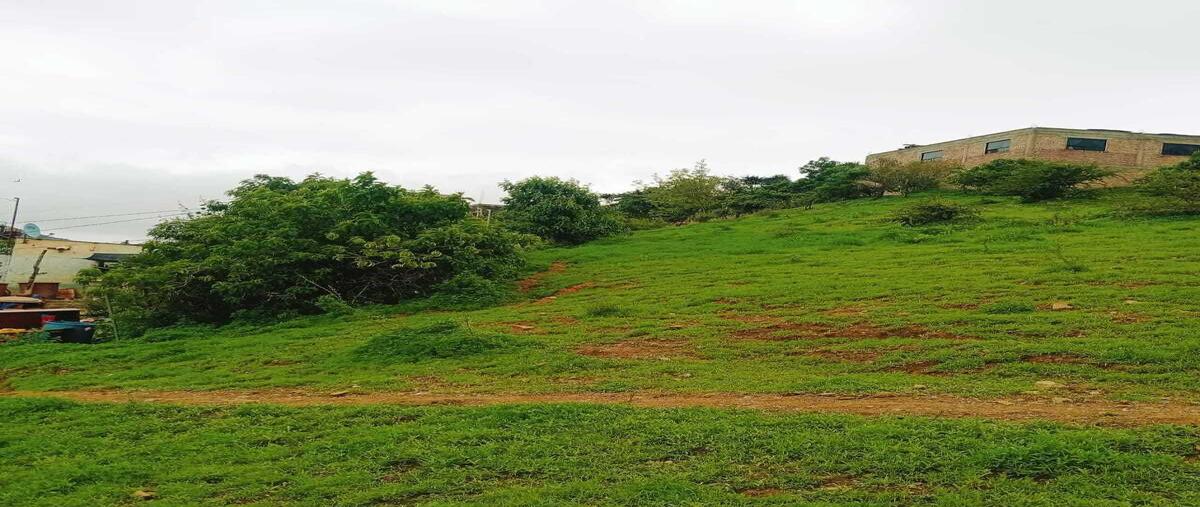 Foto de terreno habitacional en venta en camino a cristo rey kilometro 8 , filtros de valenciana, guanajuato, guanajuato, 0 No. 04