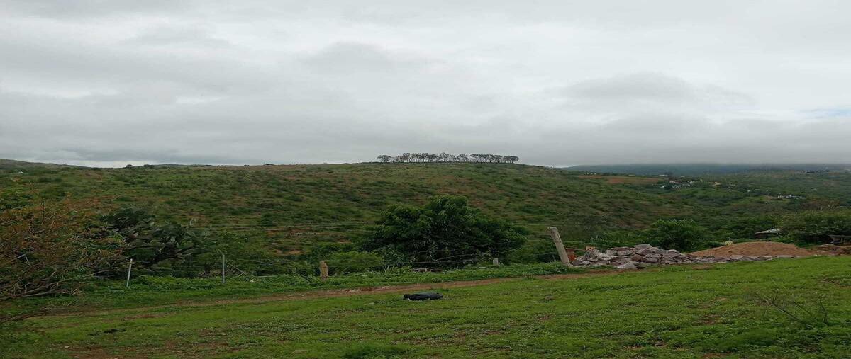 Foto de terreno habitacional en venta en camino a cristo rey kilometro 8 , filtros de valenciana, guanajuato, guanajuato, 0 No. 05