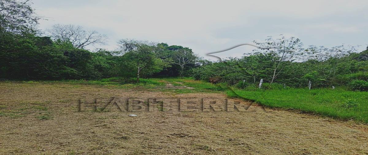 Foto de terreno habitacional en venta en camino a cruz naranjos , cruz naranjos, tuxpan, veracruz de ignacio de la llave, 31343958 No. 03
