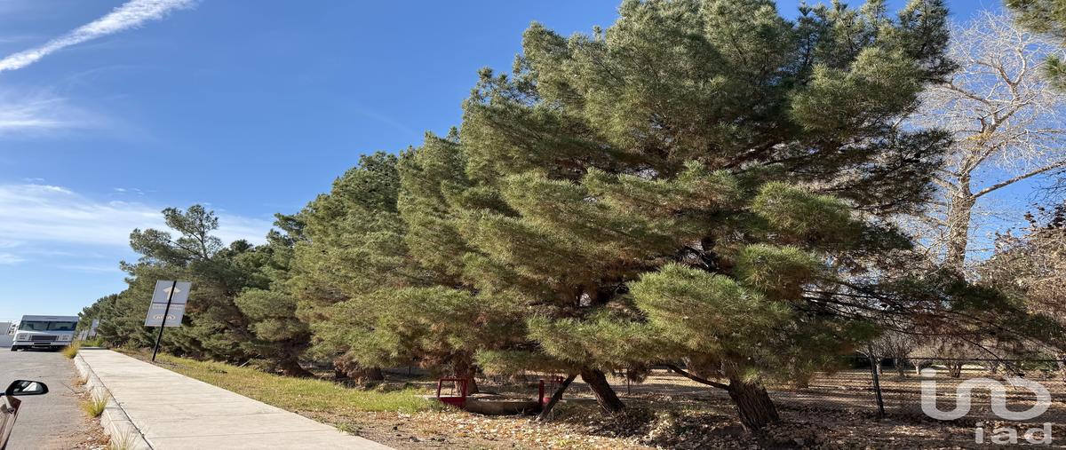 Foto de terreno habitacional en venta en camino a escudero 4522, álamos de senecu, juárez, chihuahua, 30766472 No. 04