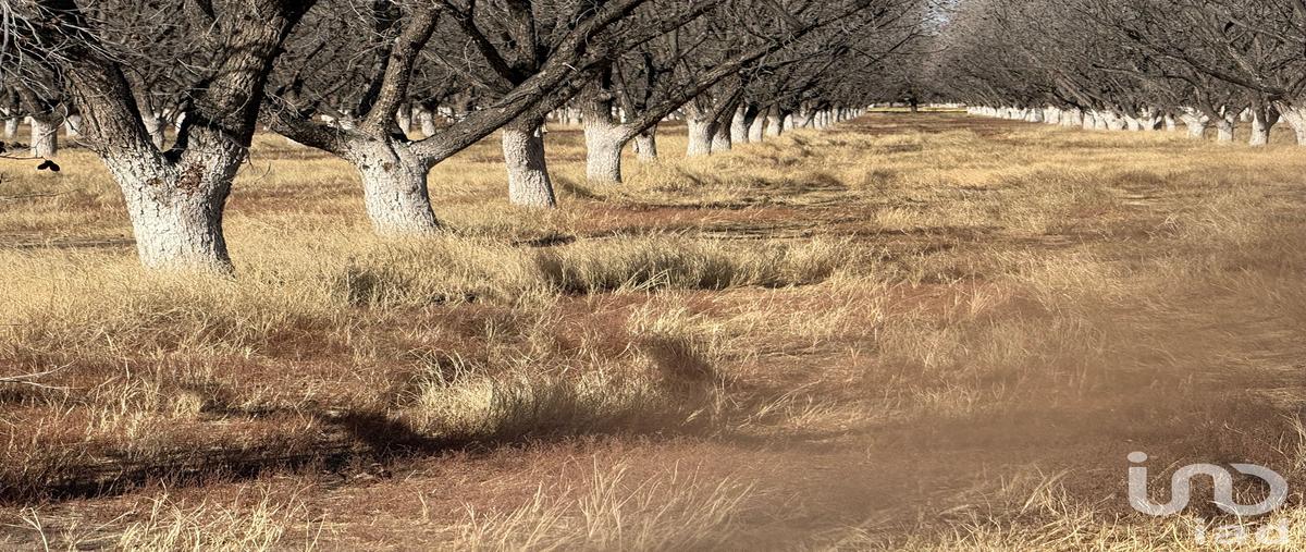 Foto de terreno habitacional en venta en camino a escudero 4552, álamos de senecu, juárez, chihuahua, 30766471 No. 03