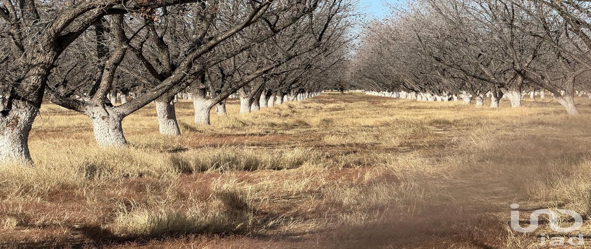 Foto de terreno habitacional en venta en camino a escudero 4552, álamos de senecu, juárez, chihuahua, 30766471 No. 04