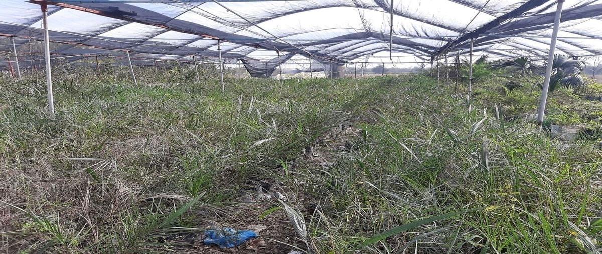 Foto de terreno habitacional en venta en camino a hacienda santa fe , praderas de cadereyta, cadereyta jiménez, nuevo león, 0 No. 03