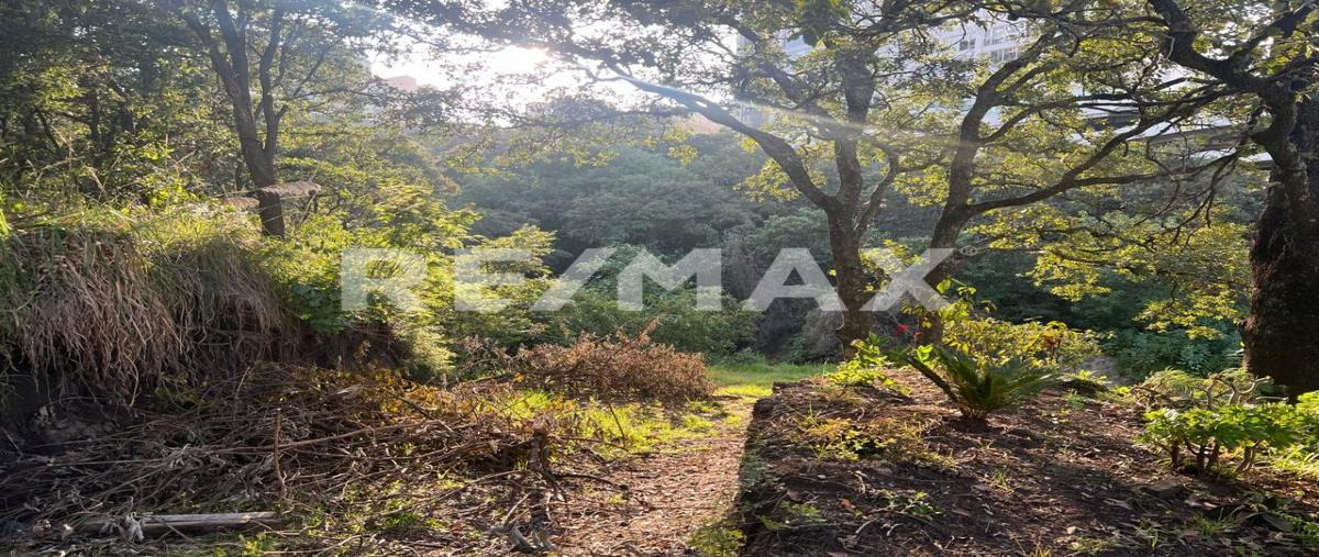 Foto de terreno habitacional en camino a huixquilucan , bosques de las palmas, huixquilucan, méxico, 0 foto 02 Foto de terreno habitacional en venta en camino a huixquilucan , bosques de las palmas, huixquilucan, méxico, 0 No. 02