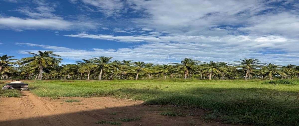 Foto de terreno comercial en venta en camino a isla de la piedra , isla de la piedra, mazatlán, sinaloa, 30531022 No. 03