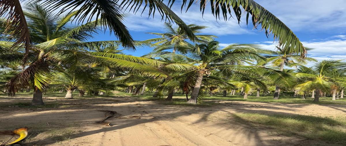 Foto de terreno comercial en venta en camino a isla de la piedra , isla de la piedra, mazatlán, sinaloa, 30531022 No. 05