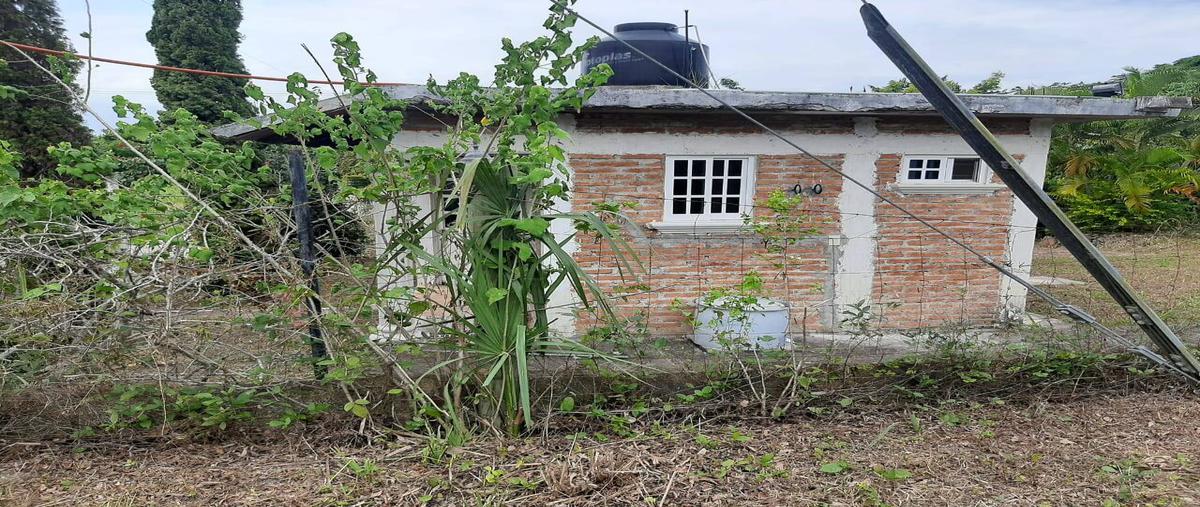 Foto de terreno habitacional en venta en camino a juana moza , isla de juana moza, tuxpan, veracruz de ignacio de la llave, 0 No. 03