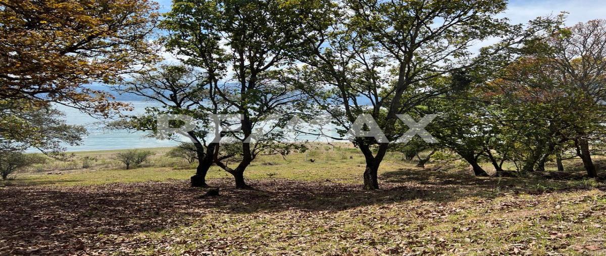 Foto de terreno habitacional en venta en camino a la boquilla , el cerrillo, valle de bravo, méxico, 30411036 No. 05