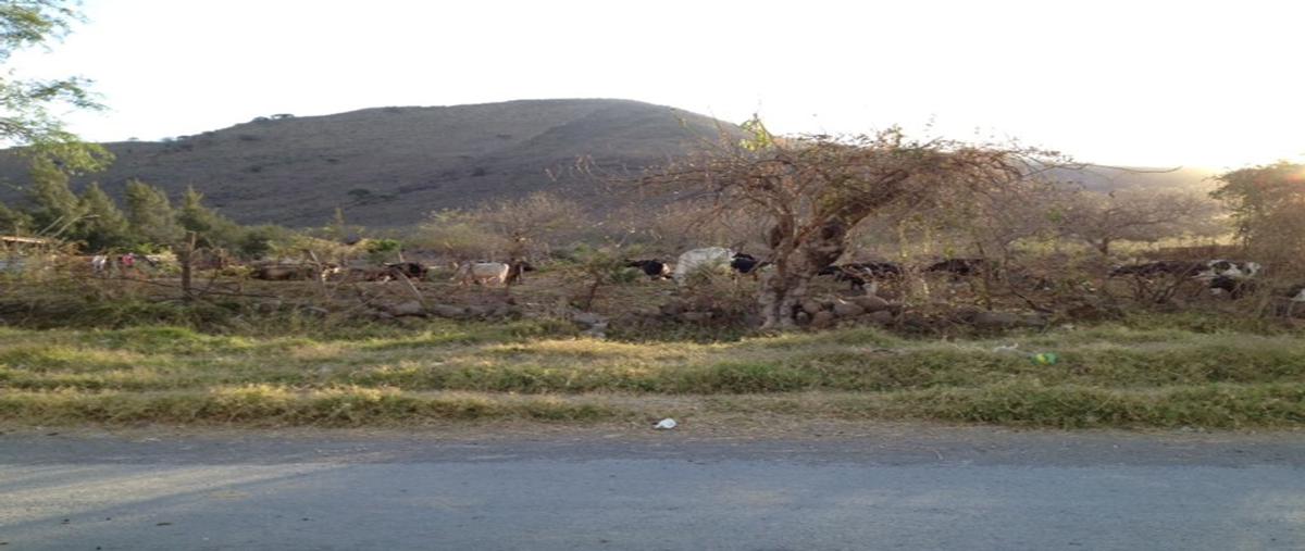Foto de terreno habitacional en camino a la cañada 242, campo sur, tlajomulco de zúñiga, jalisco, 24482573 foto 02 Foto de terreno habitacional en venta en camino a la cañada 242, campo sur, tlajomulco de zúñiga, jalisco, 24482573 No. 02