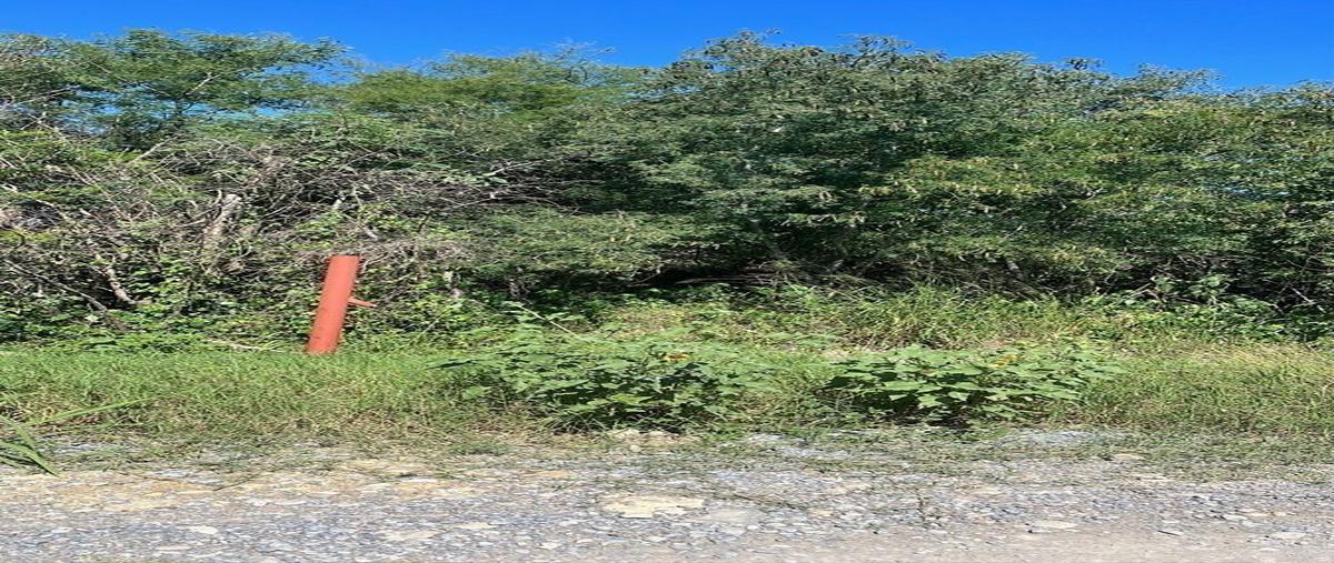 Foto de terreno habitacional en venta en camino a la ceja , el refugio, cadereyta jiménez, nuevo león, 29041880 No. 03