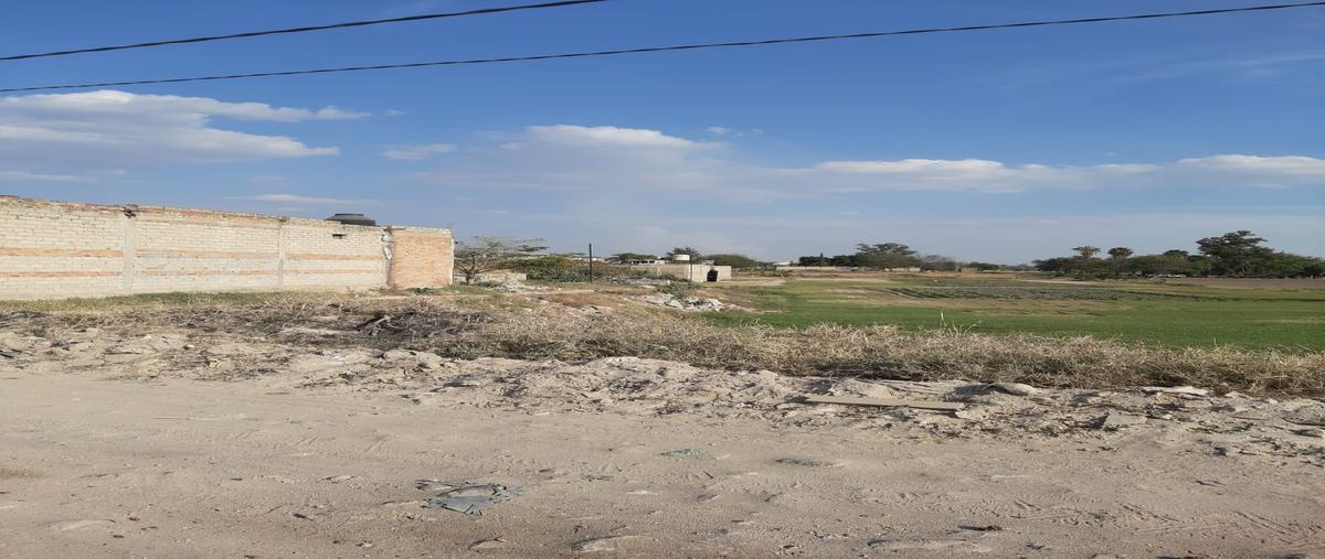Foto de terreno habitacional en venta en camino a la cienega , santa anita, san pedro tlaquepaque, jalisco, 29426009 No. 03