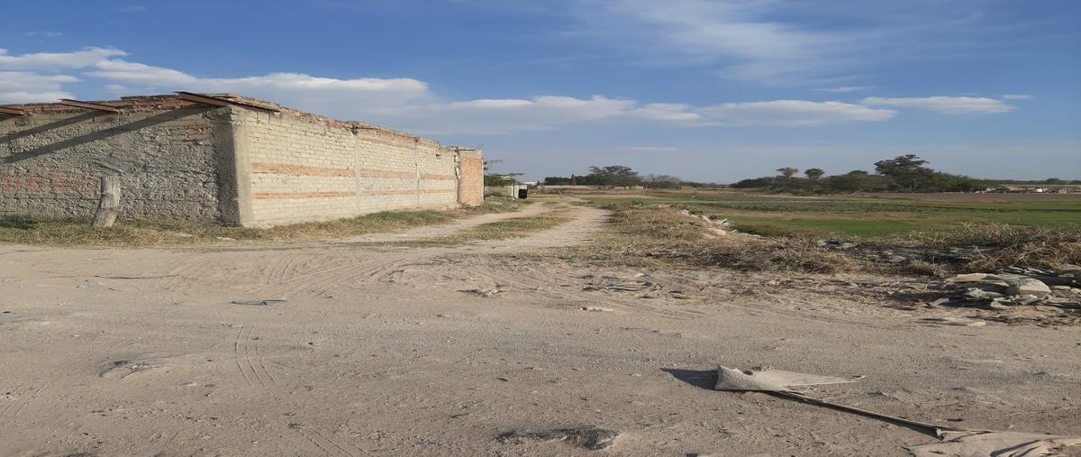 Foto de terreno habitacional en venta en camino a la cienega , santa anita, san pedro tlaquepaque, jalisco, 29426009 No. 05