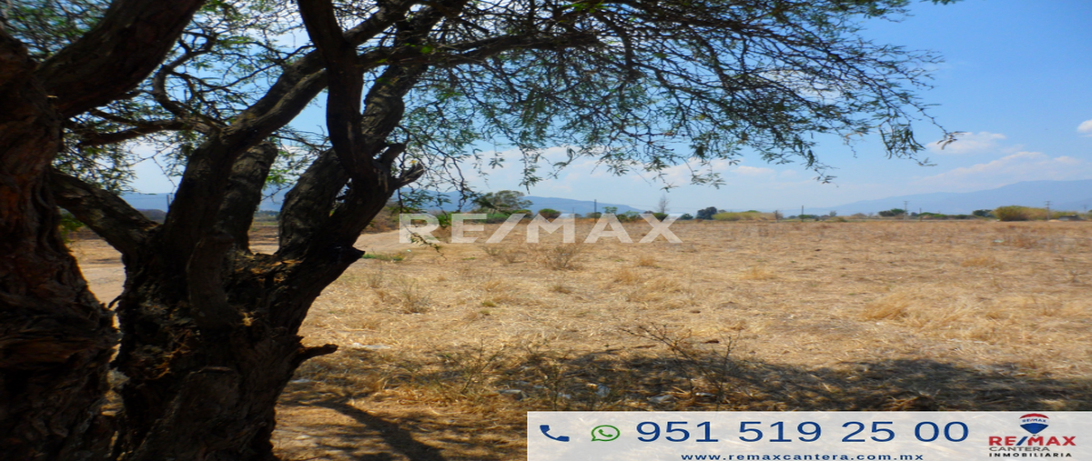 Foto de terreno comercial en venta en camino a la guadalupana , san jerónimo tlacochahuaya, san jerónimo tlacochahuaya, oaxaca, 6179512 No. 05