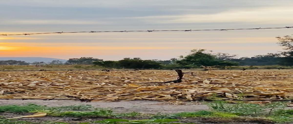 Foto de terreno comercial en venta en camino a la huerta , santa cruz de las flores, tlajomulco de zúñiga, jalisco, 0 No. 03